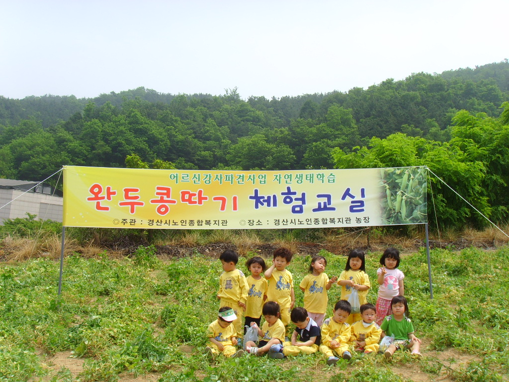 SSL26043.JPG